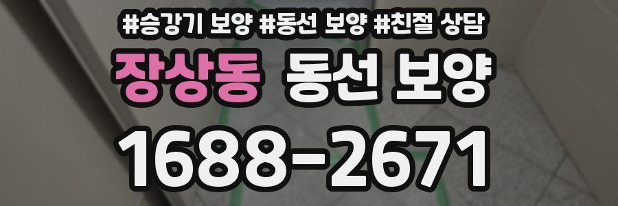 장상동 동선 보양