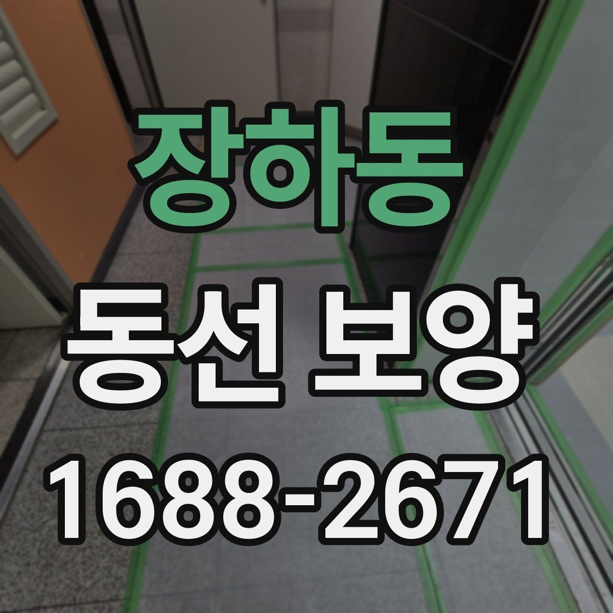장하동 동선 보양 후 마감 상태 점검 포인트