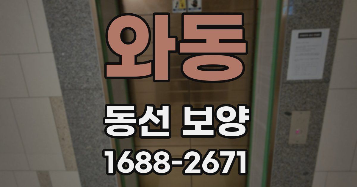 와동 동선 보양