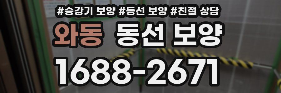 와동 동선 보양