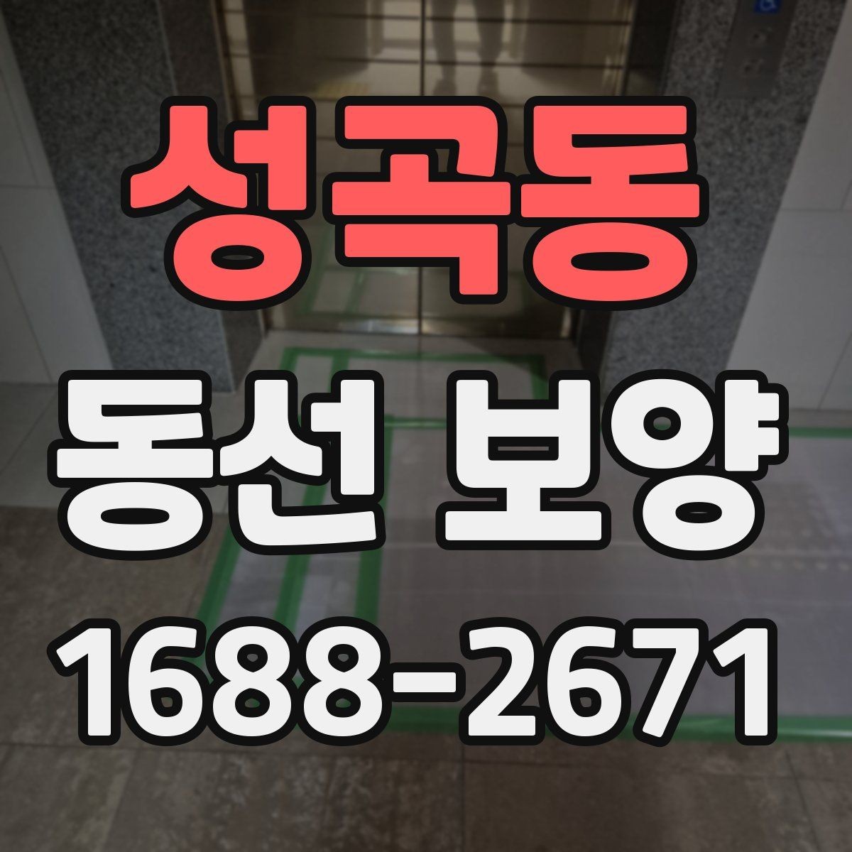 성곡동 동선 보양 작업 전 준비물과 점검 항목