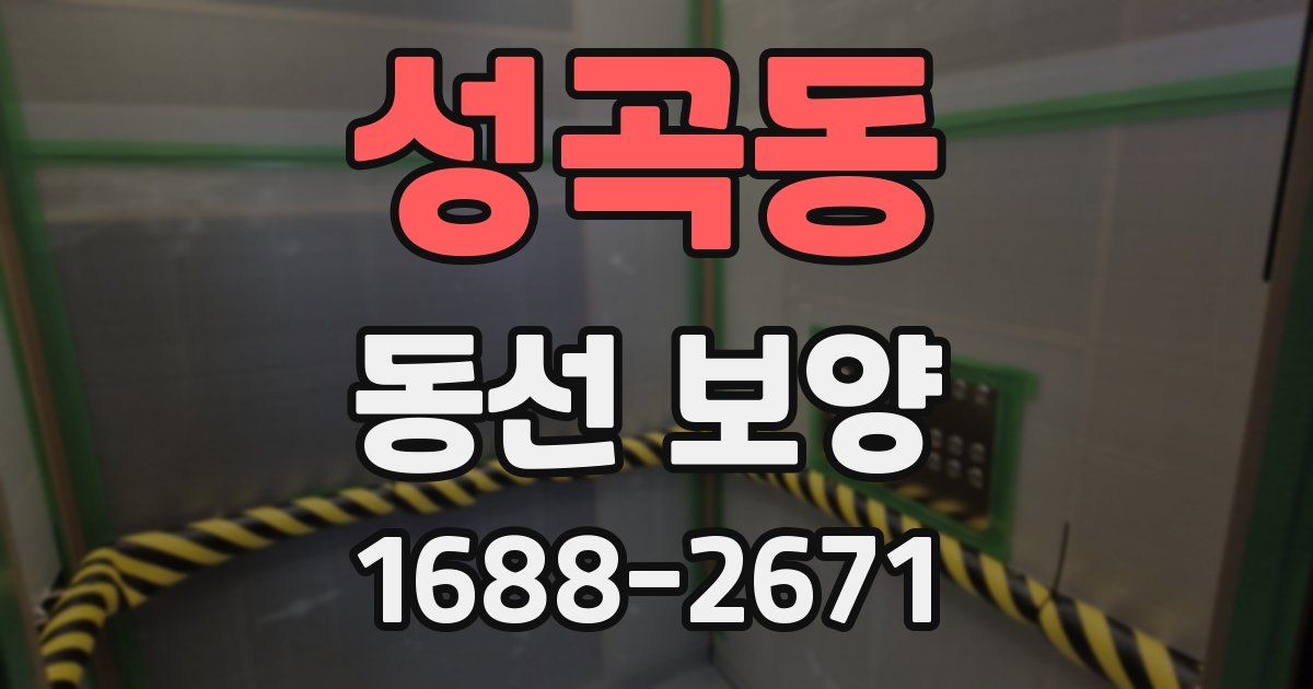 성곡동 동선 보양