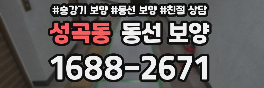 성곡동 동선 보양