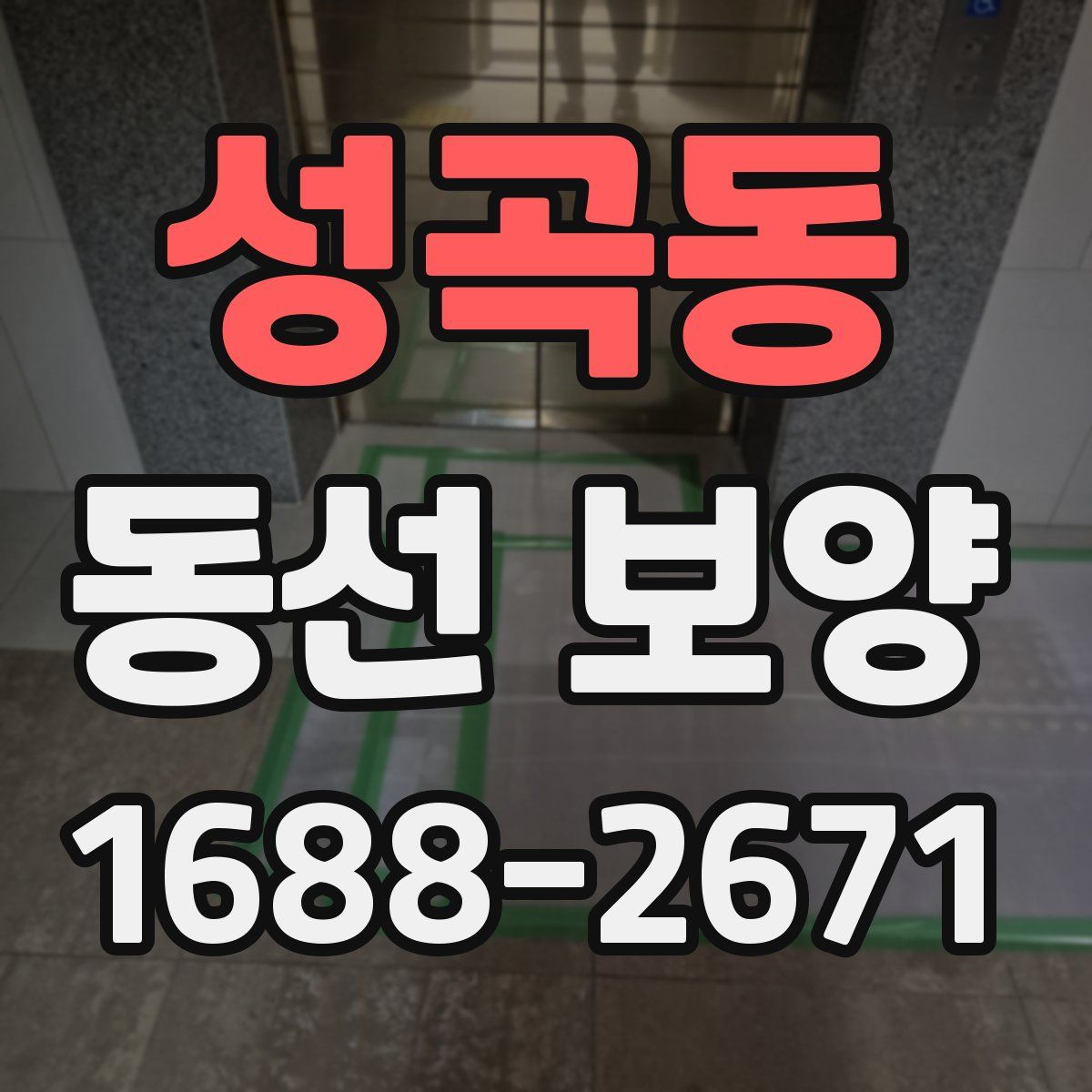 성곡동 동선 보양