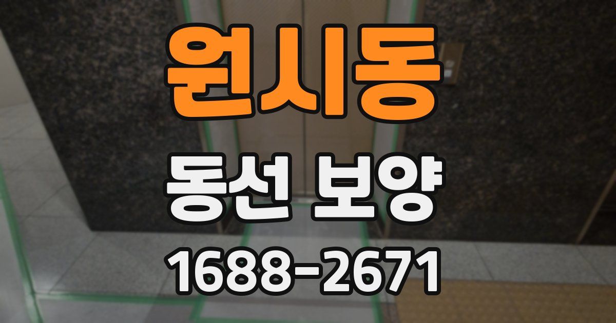 원시동 동선 보양