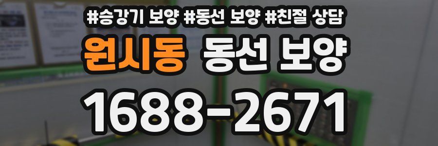 원시동 동선 보양