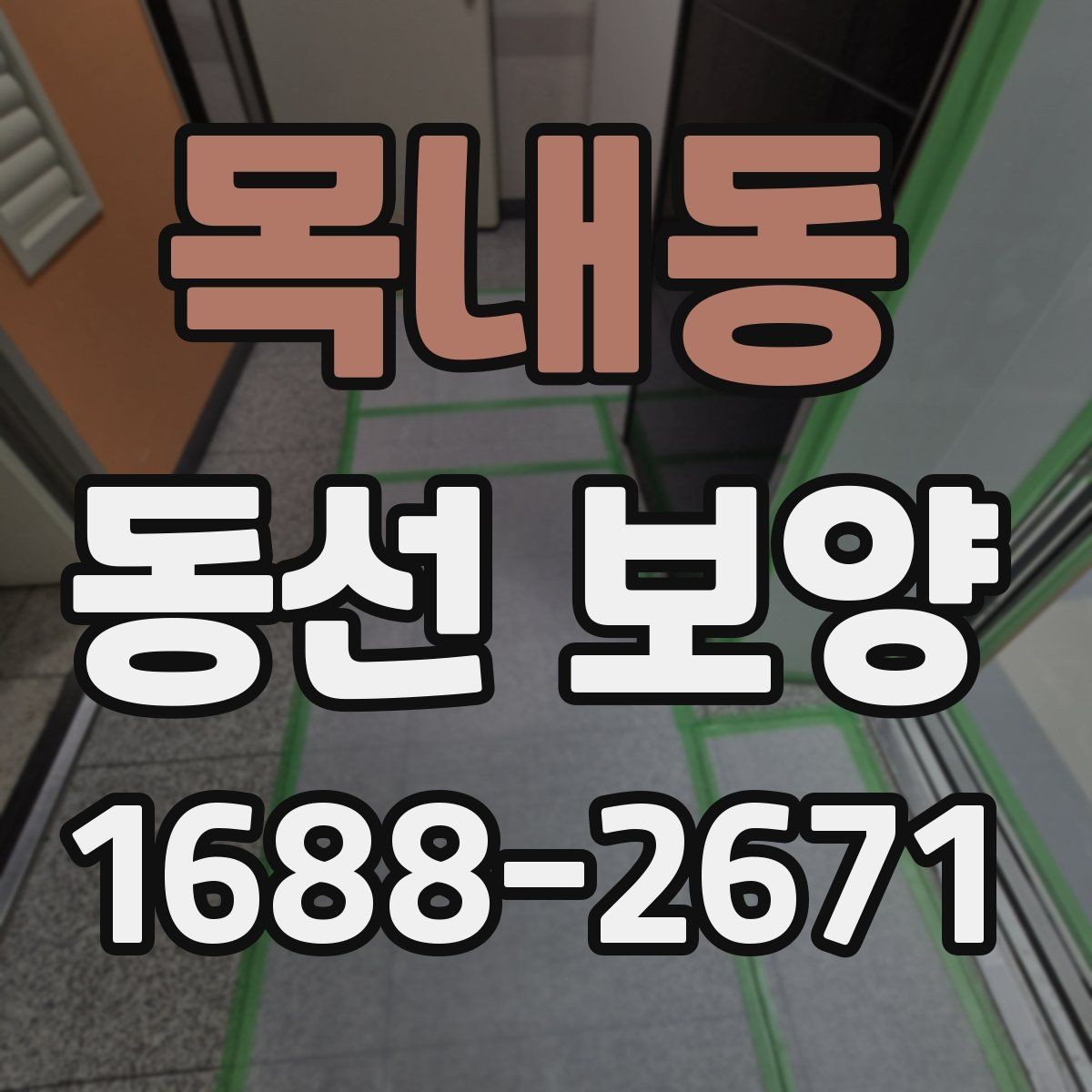 목내동 동선 보양 전후로 체크해야 할 사항