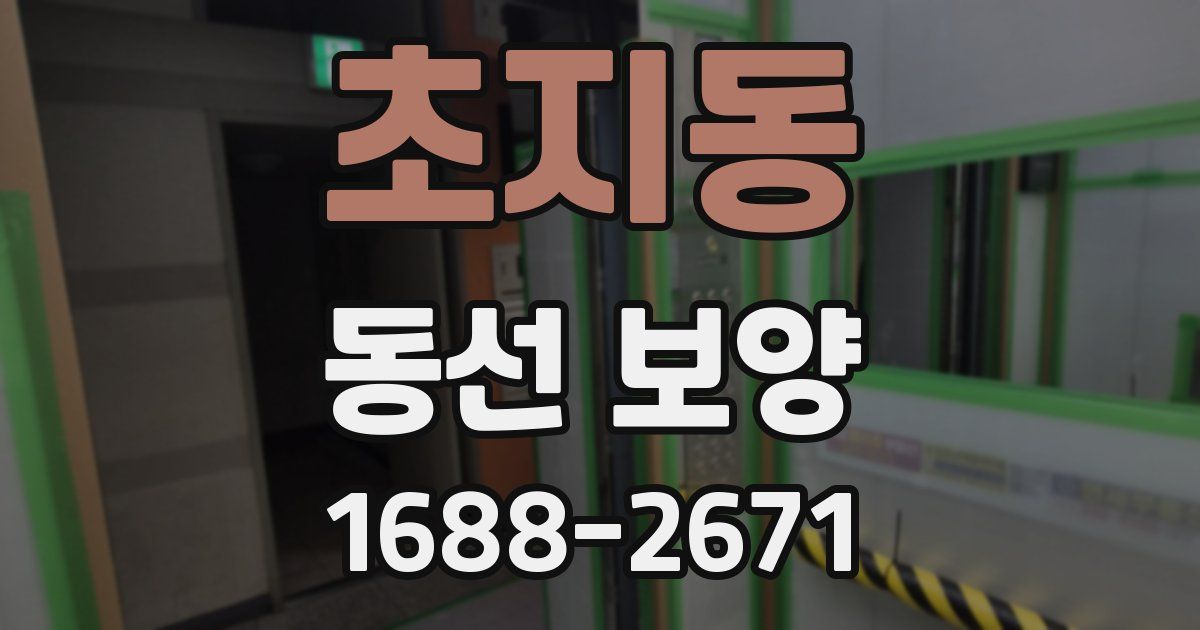 초지동 동선 보양