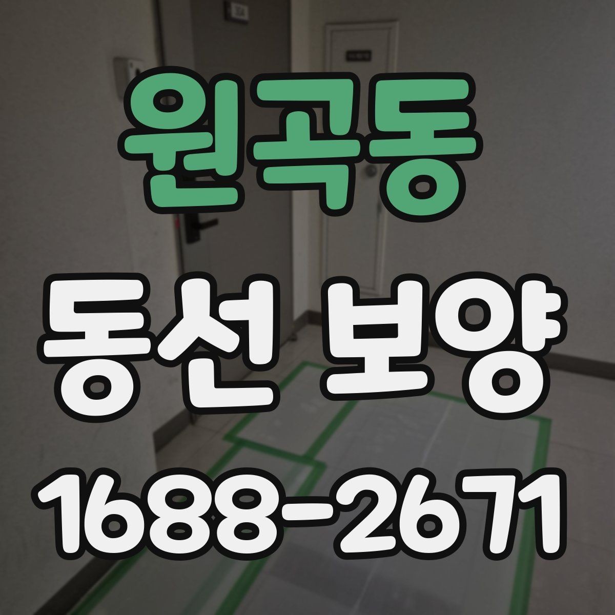 원곡동 동선 보양 후 마감 상태 점검 포인트