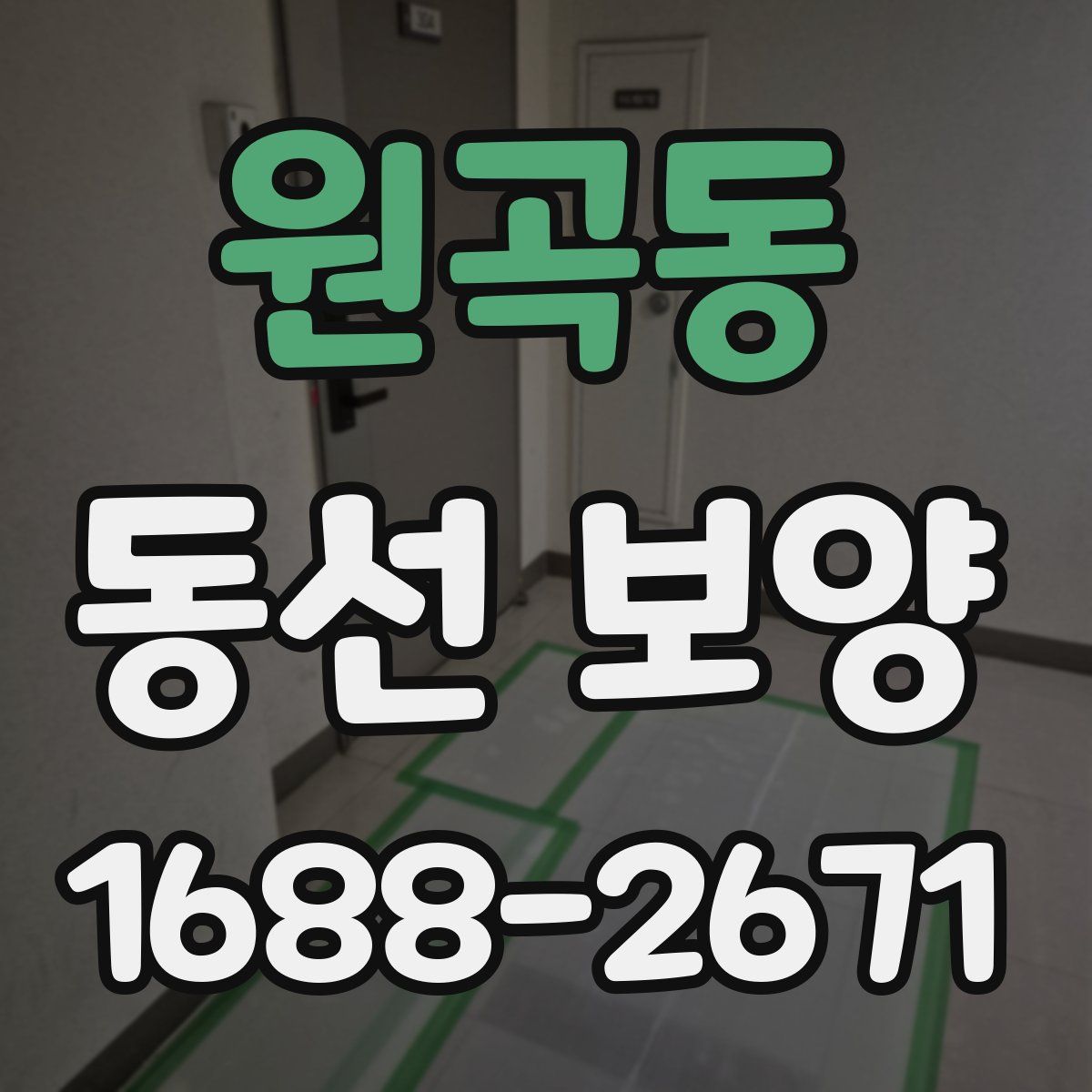 원곡동 동선 보양