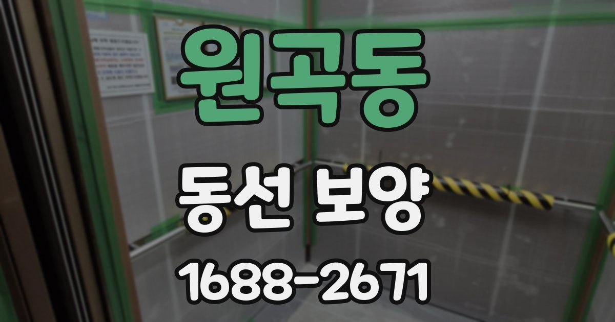 원곡동 동선 보양