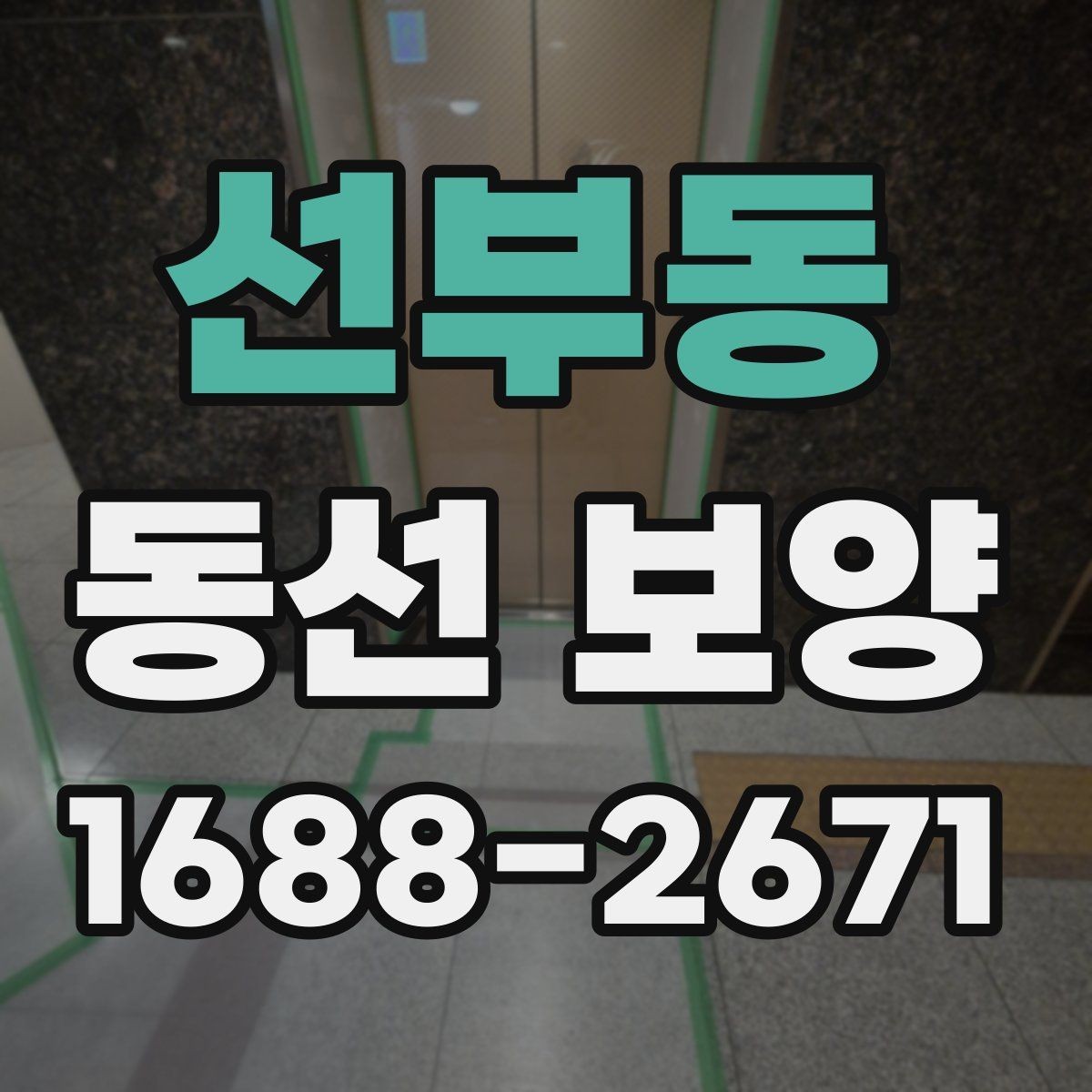 선부동 동선 보양 현장별 적용 사례와 특징