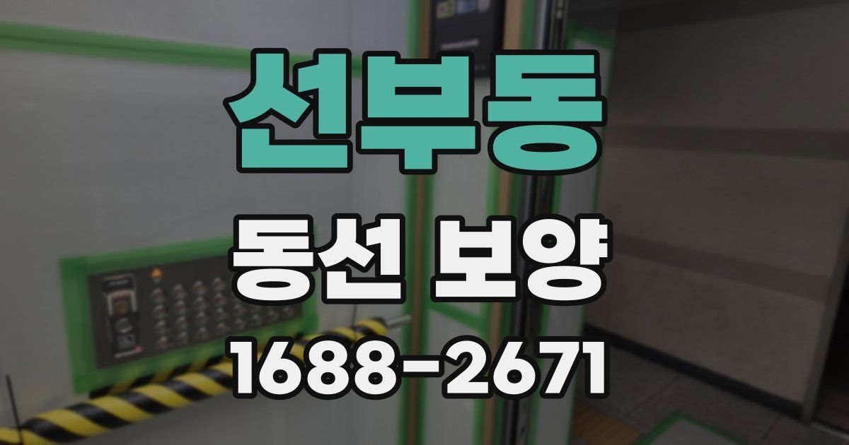선부동 동선 보양