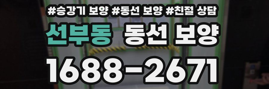 선부동 동선 보양