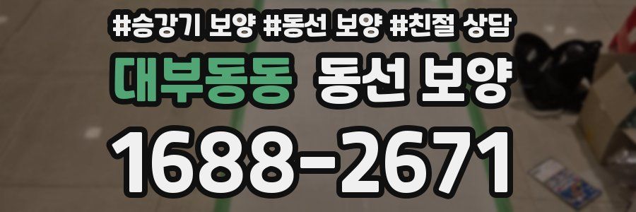 대부동동 동선 보양
