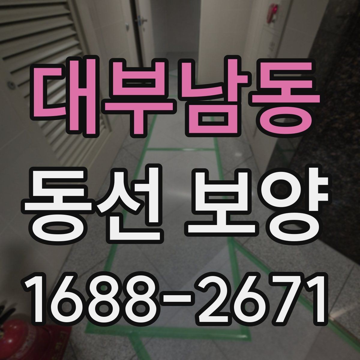 대부남동 동선 보양 현장에서 주의할 점 정리
