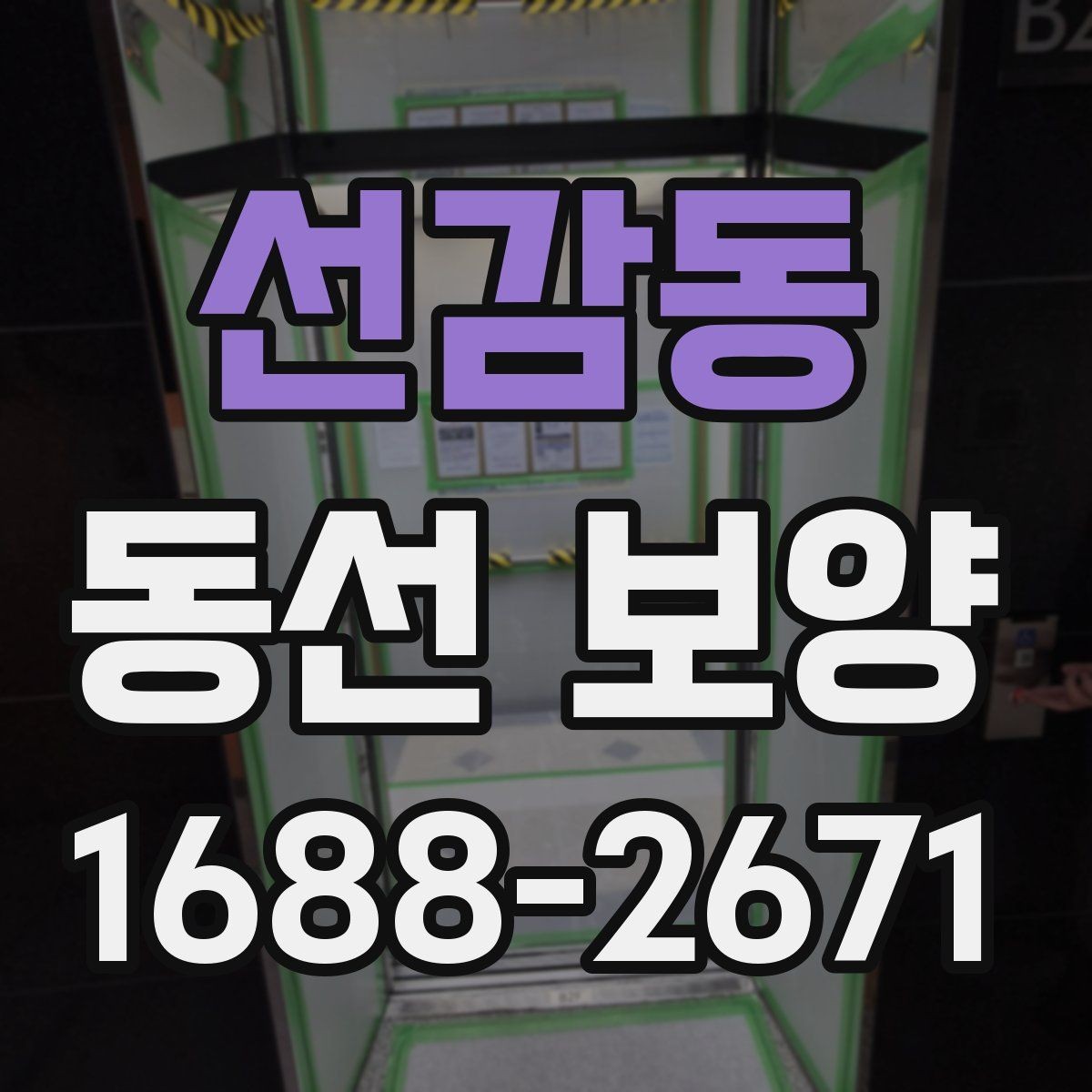선감동 동선 보양 진행 과정에서 반복되는 실수