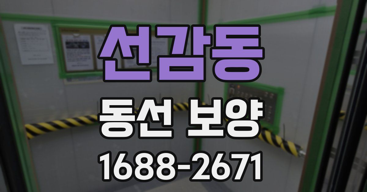 선감동 동선 보양