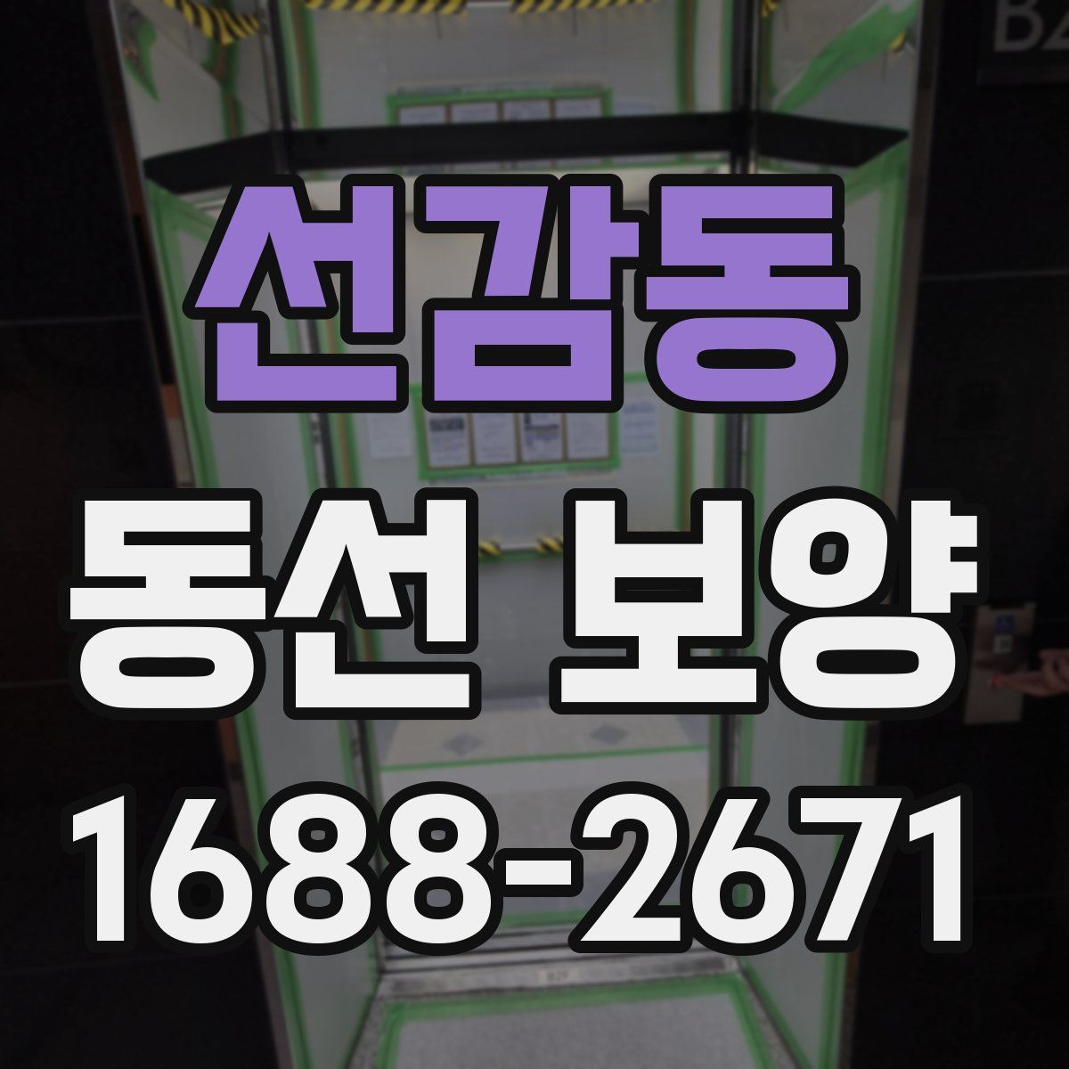 선감동 동선 보양