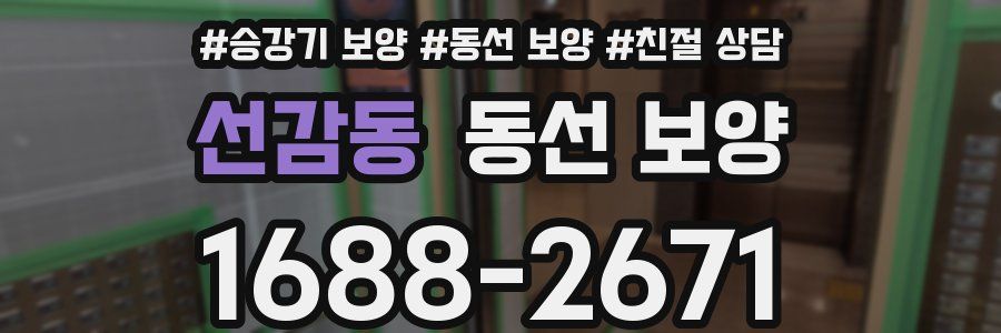 선감동 동선 보양