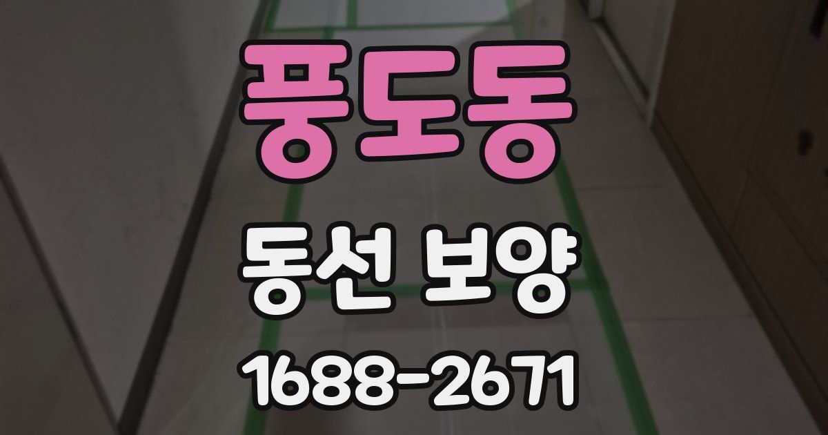 풍도동 동선 보양