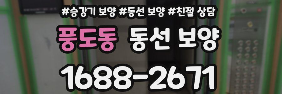 풍도동 동선 보양
