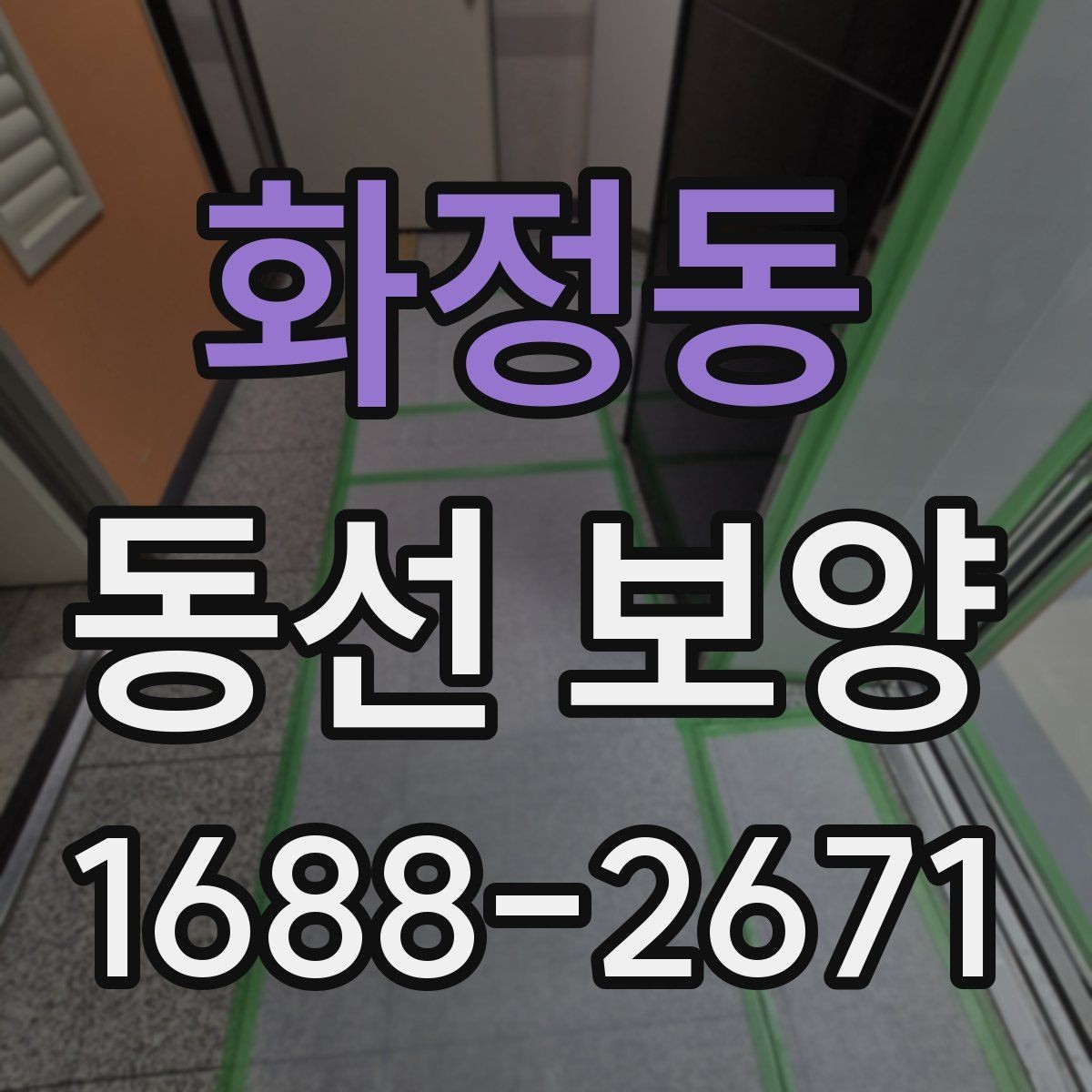 화정동 동선 보양 대상 구간을 정하는 기준
