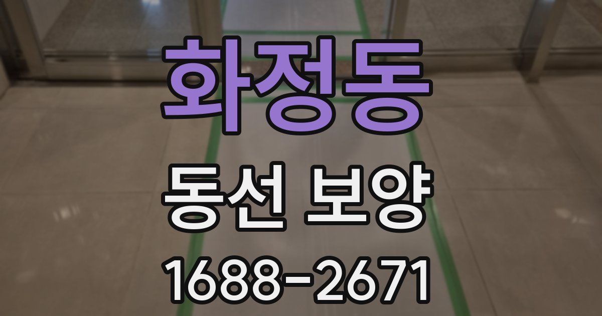 화정동 동선 보양