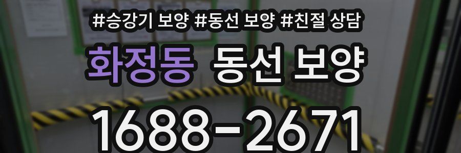 화정동 동선 보양