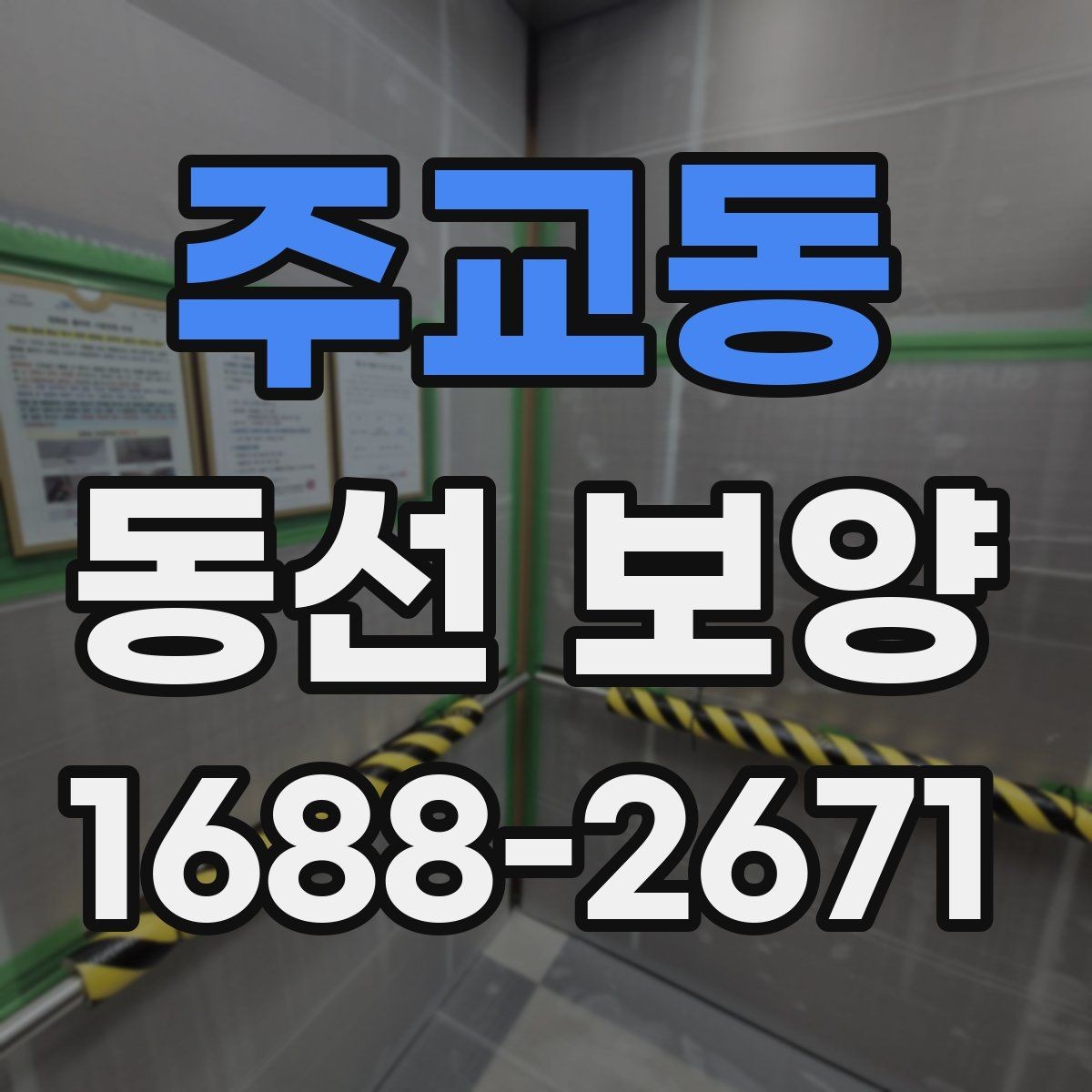 주교동 동선 보양 작업 시 현장 상황에 따라 달라지는 대응