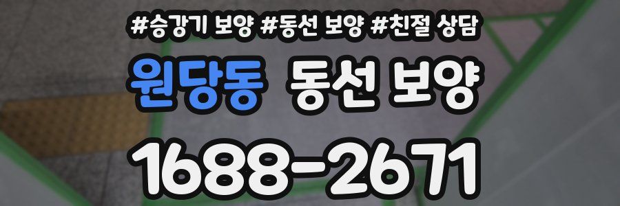 원당동 동선 보양