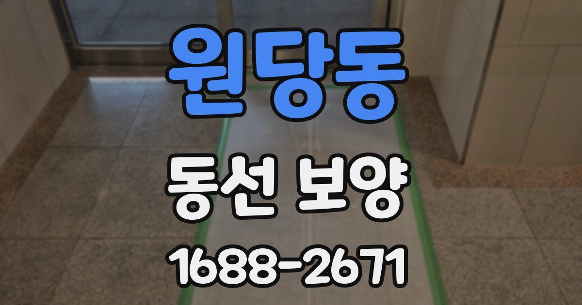 원당동 동선 보양