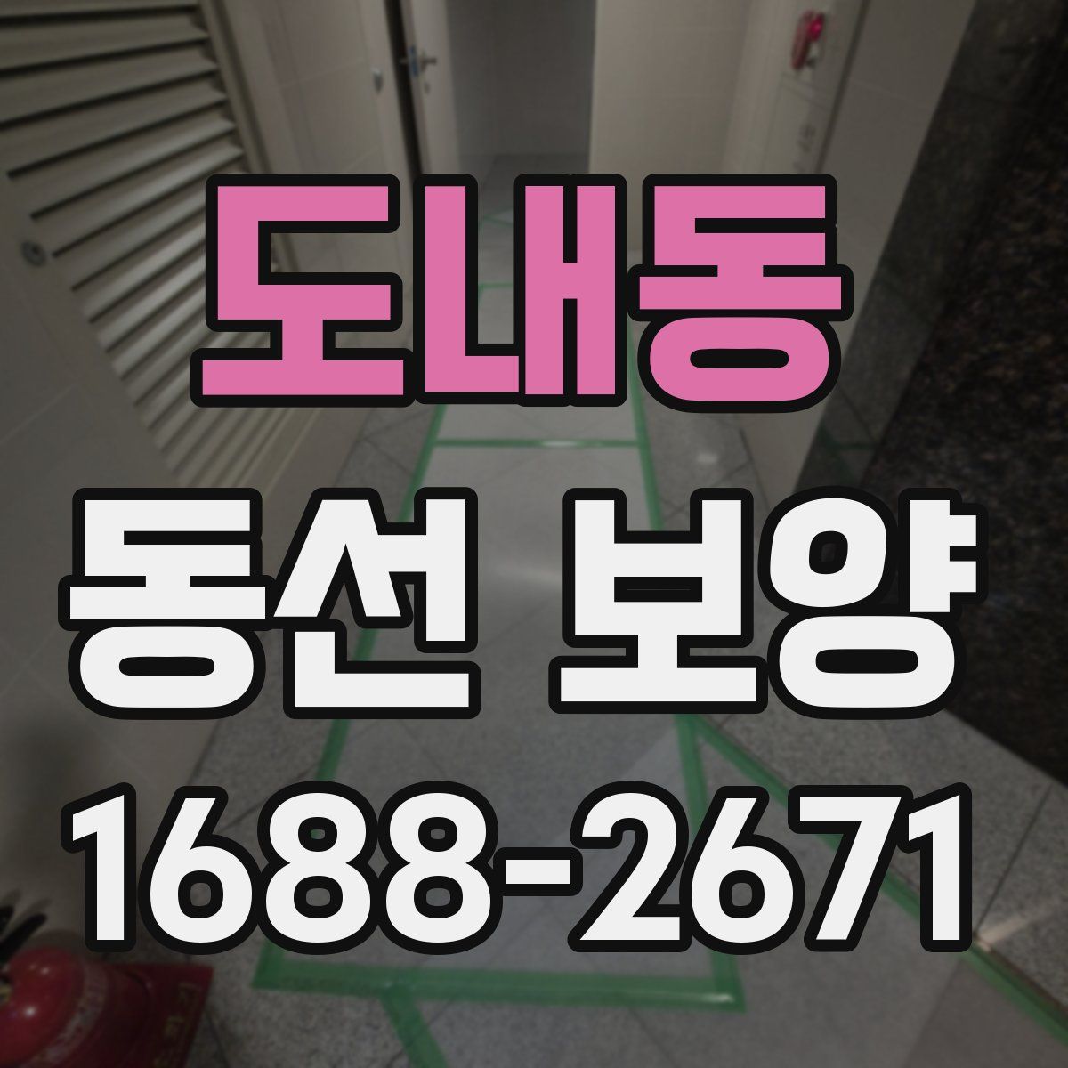 도내동 동선 보양