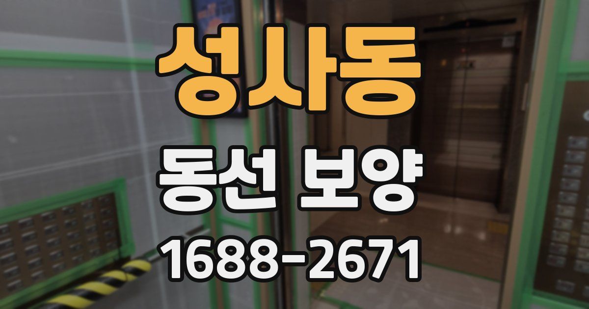 성사동 동선 보양