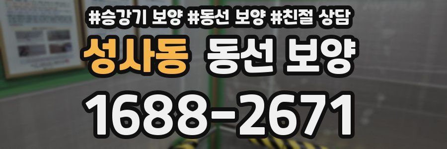 성사동 동선 보양