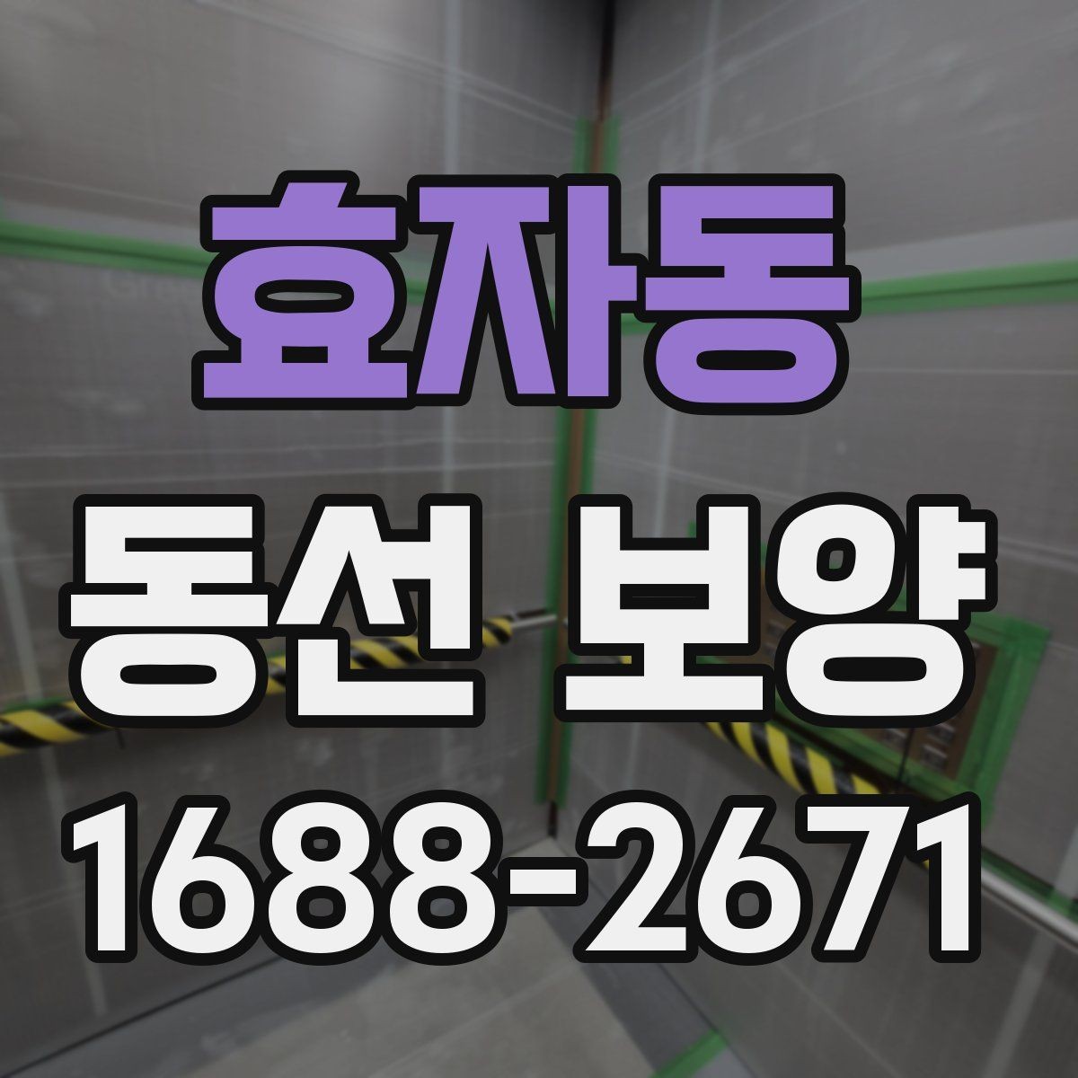 효자동 동선 보양 전후 차이를 알기 쉽게 정리