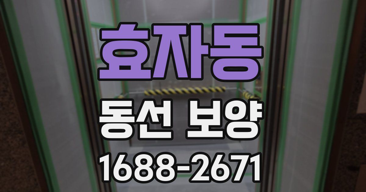 효자동 동선 보양