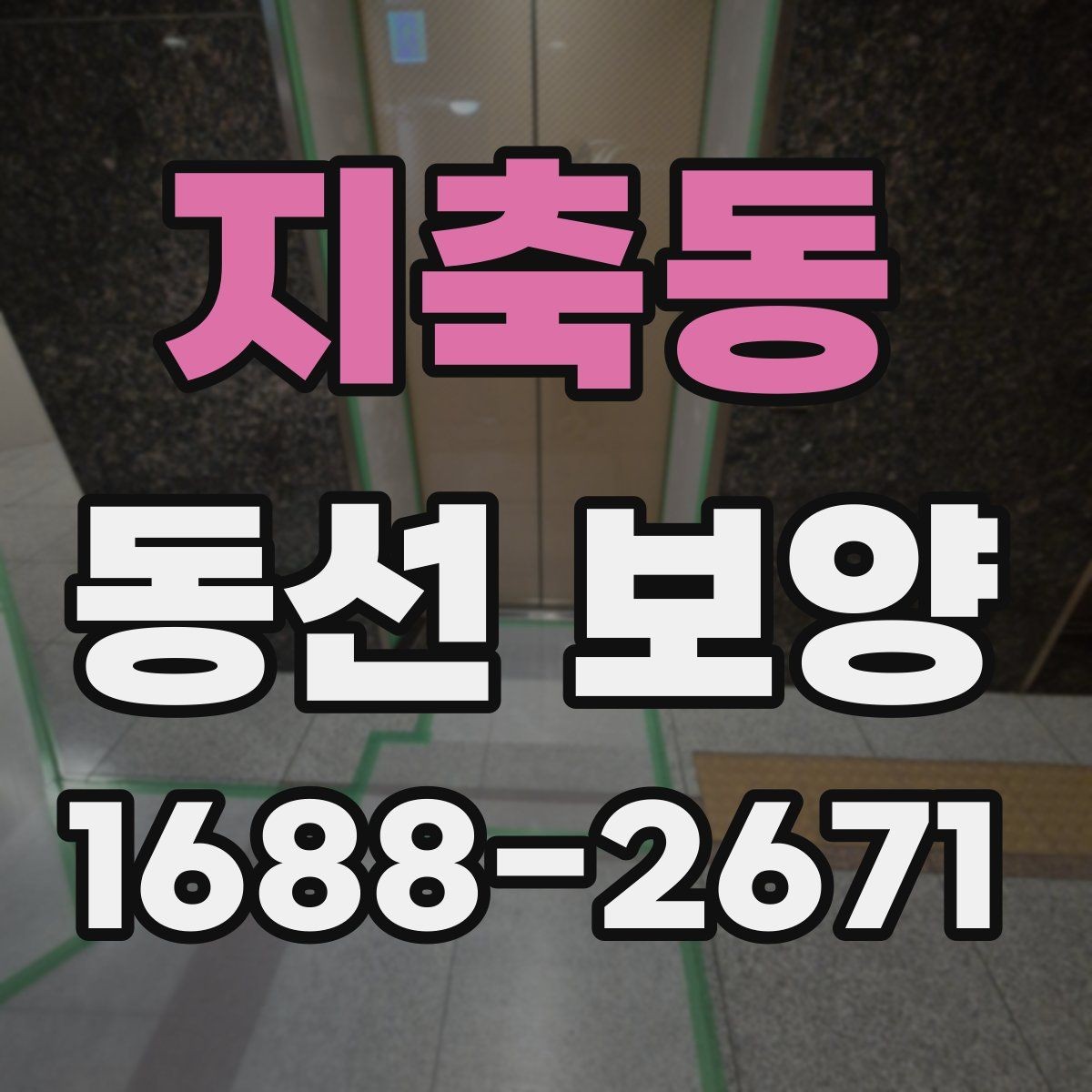 지축동 동선 보양 자재의 종류와 각각의 장단점
