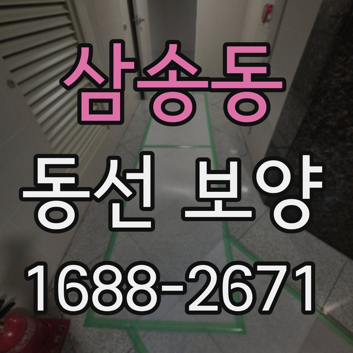 삼송동 동선 보양 비용 견적을 볼 때 확인할 항목