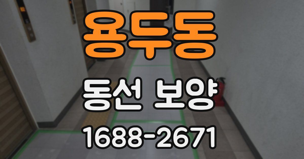 용두동 동선 보양