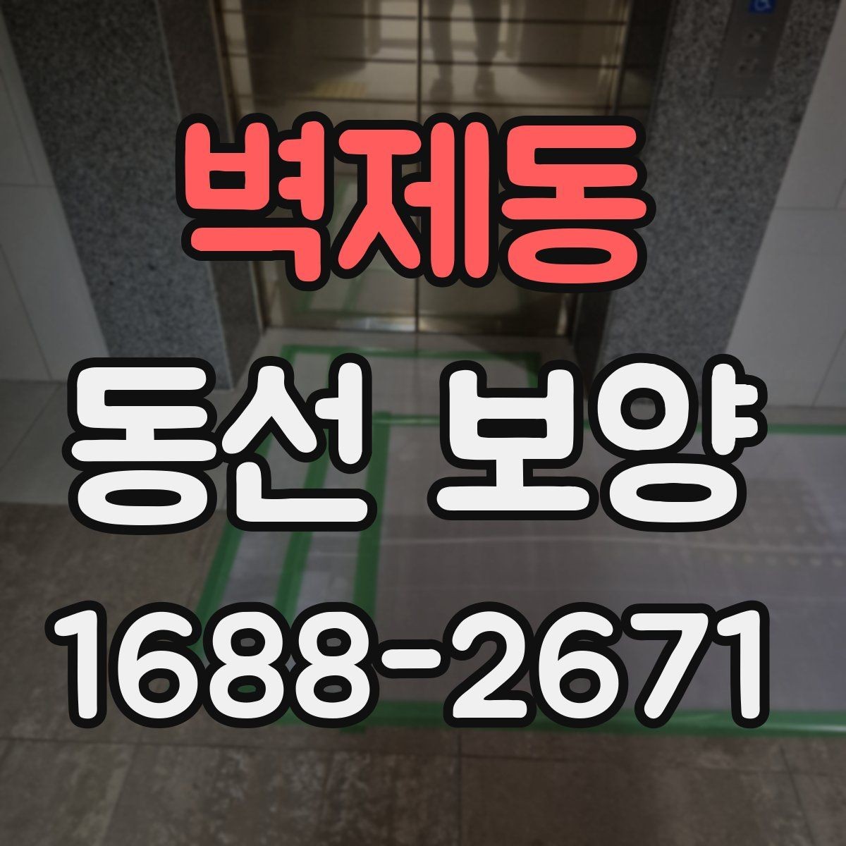 벽제동 동선 보양 작업에서 품질 차이를 만드는 요인