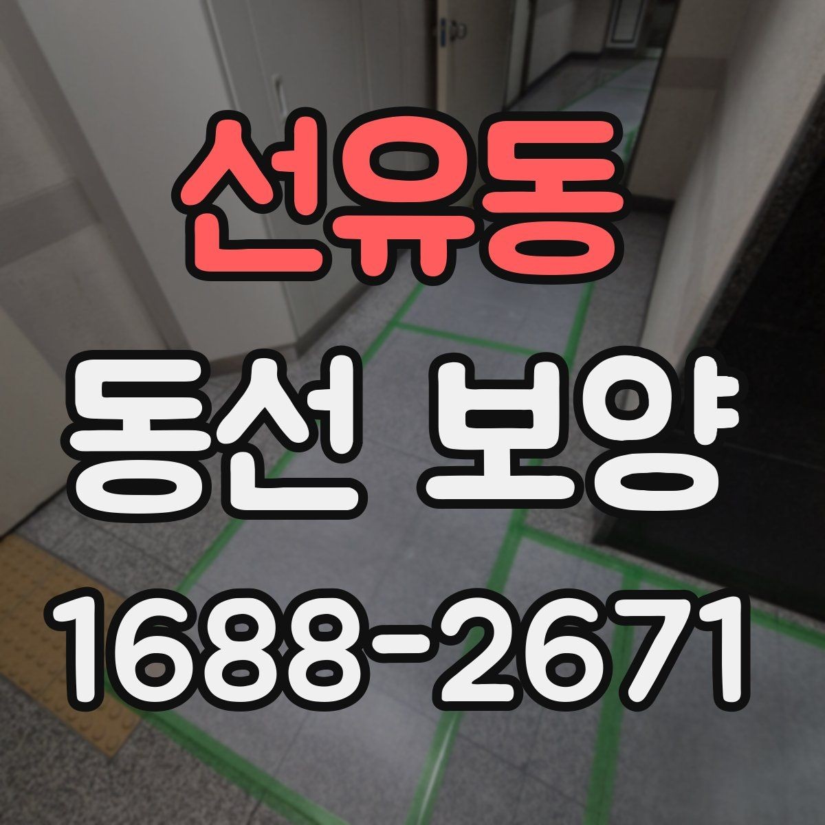 선유동 동선 보양 선택 전 확인하면 좋은 기준