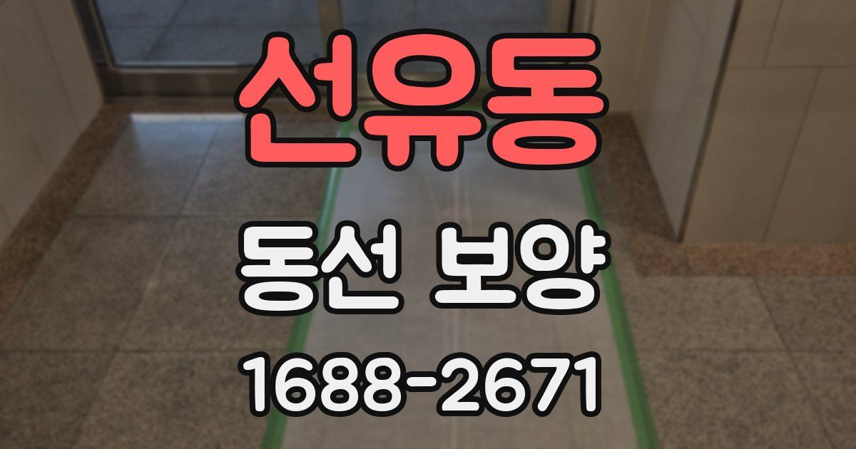 선유동 동선 보양