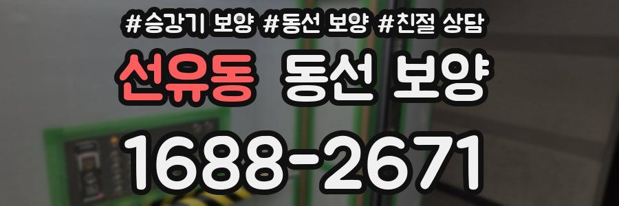 선유동 동선 보양