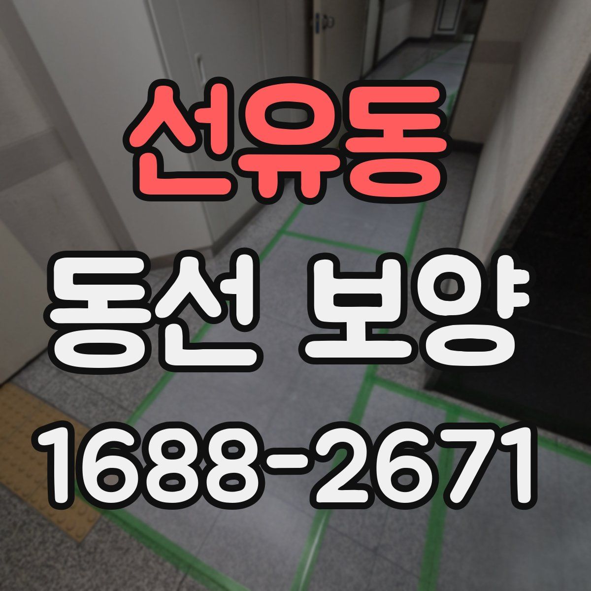 선유동 동선 보양