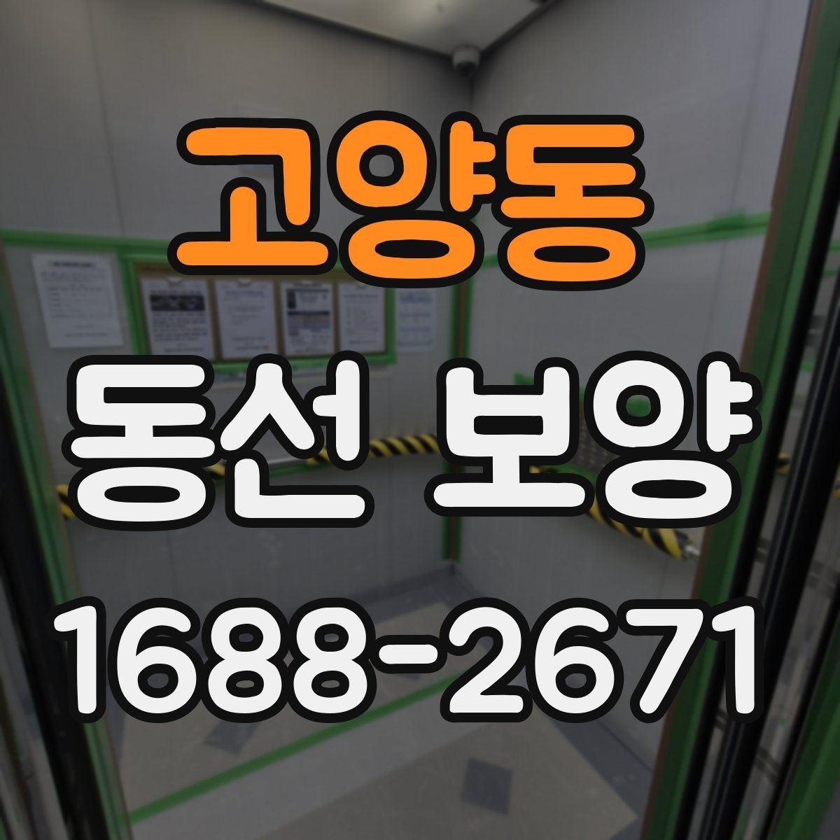 고양동 동선 보양 진행 시 작업자 체크리스트