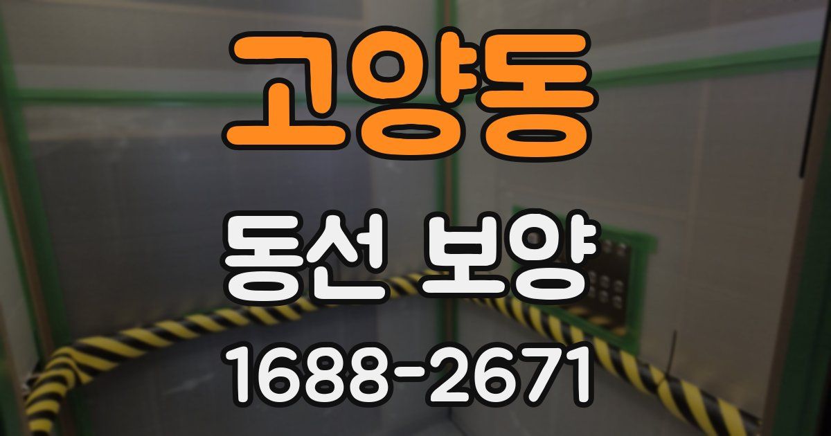 고양동 동선 보양