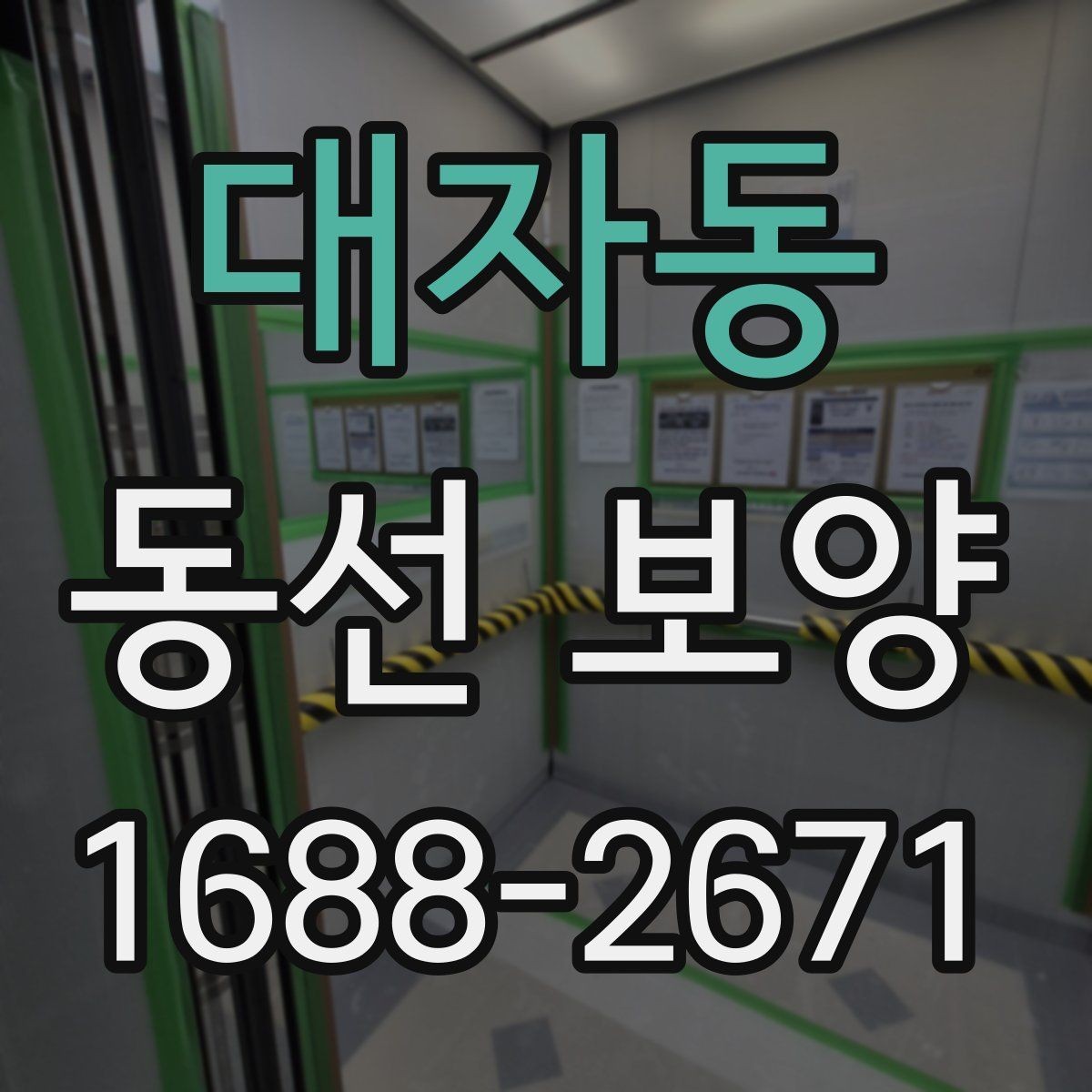 대자동 동선 보양 현장 점검표로 보는 준비할 사항
