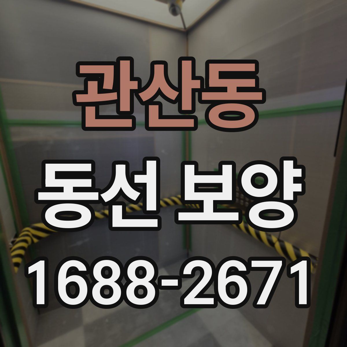 관산동 동선 보양
