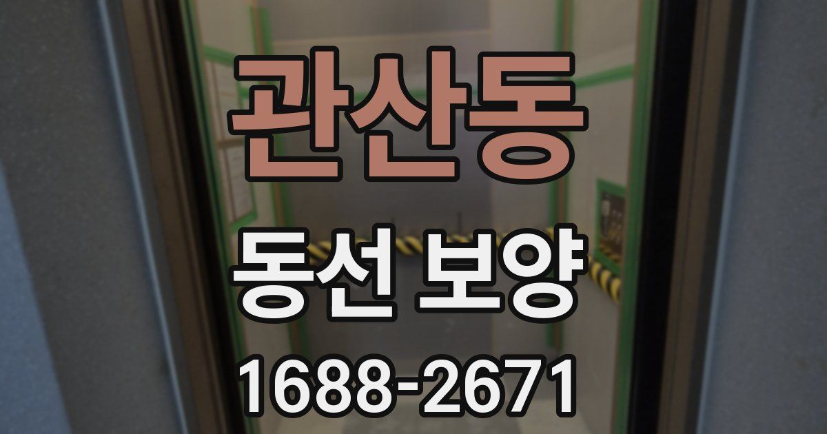 관산동 동선 보양